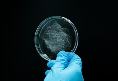 編織未來(lái) 態(tài)創(chuàng)生物以合成生物制造蛛絲蛋白，助推生物基新材料革新